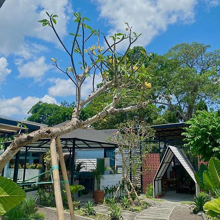 The Jungle Hostel Canggu Luaran gambar