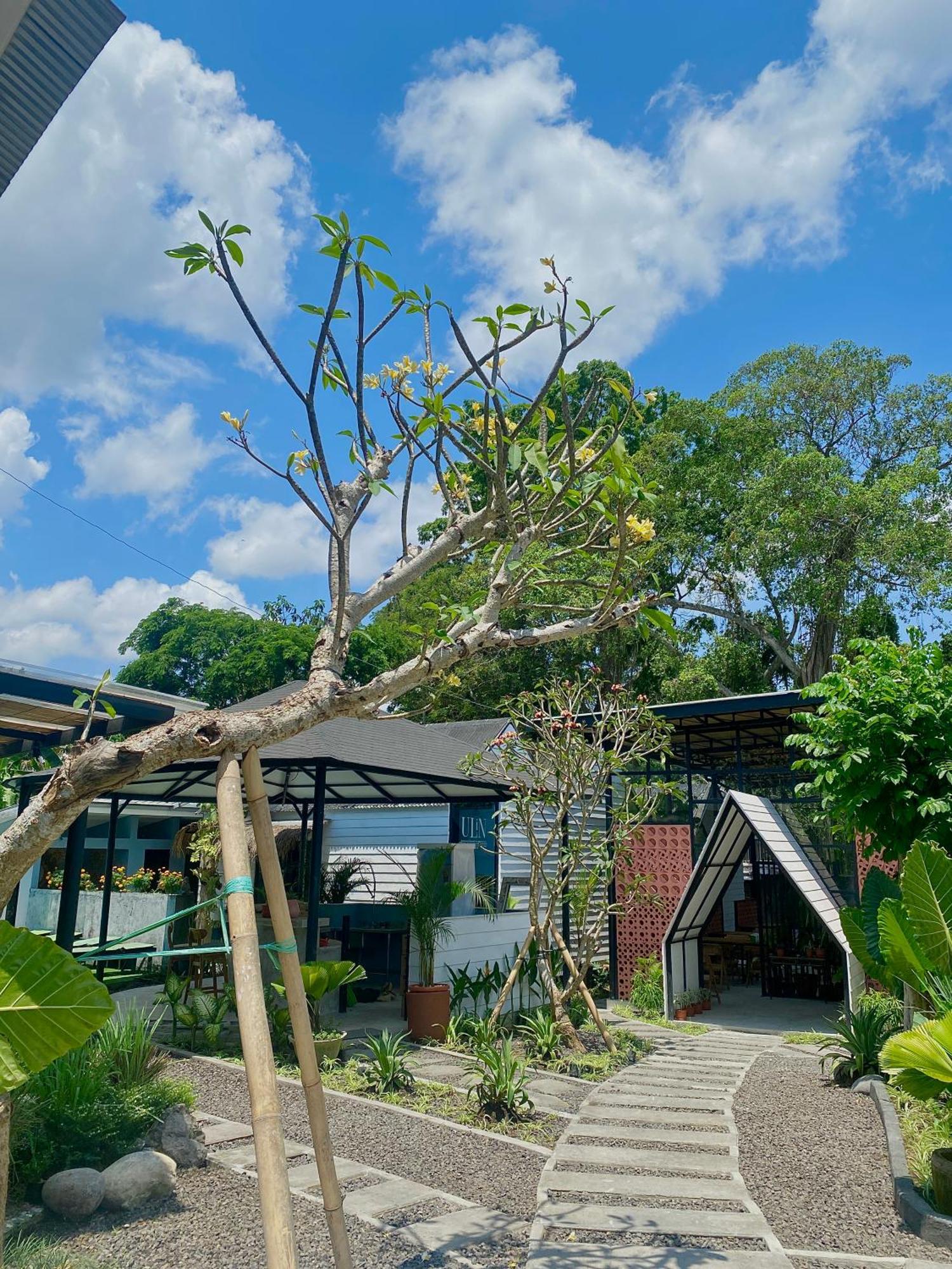The Jungle Hostel Canggu Luaran gambar