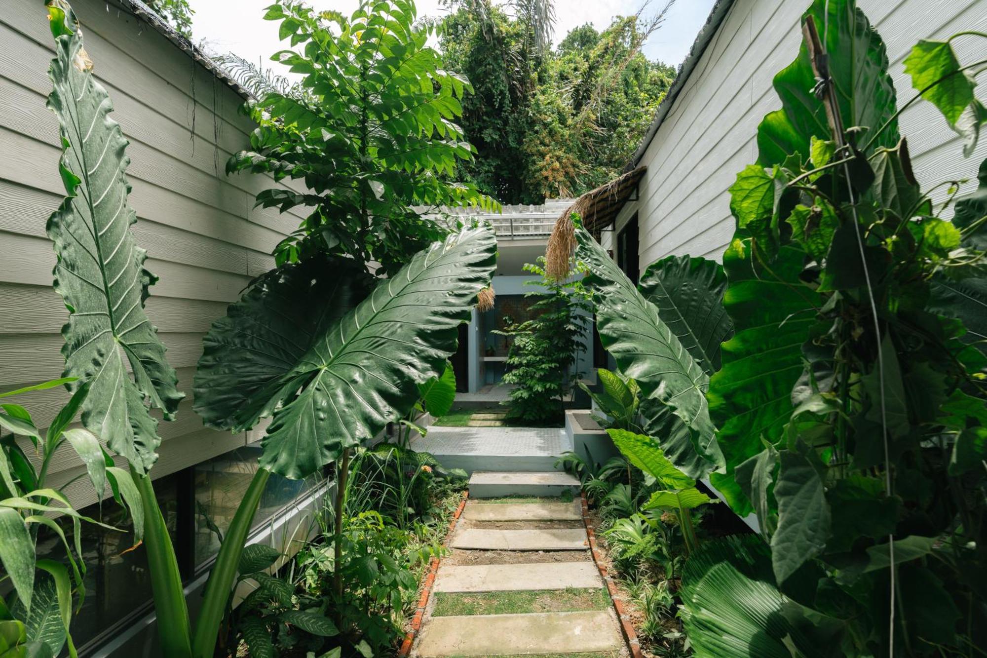 The Jungle Hostel Canggu Luaran gambar