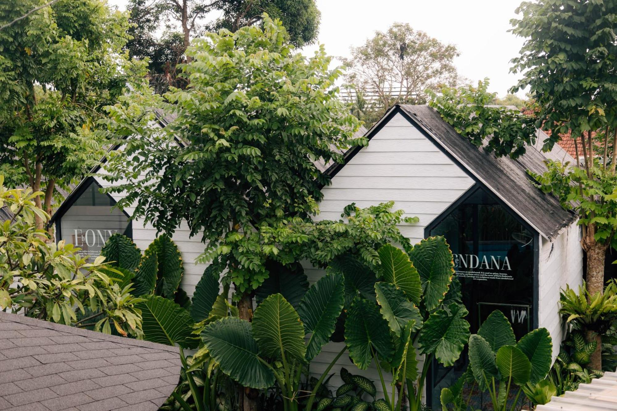 The Jungle Hostel Canggu Luaran gambar